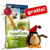 Pienso para perros Happy Dog + Pauli el pingüino ¡gratis! - - Happy Dog Natur-Croq con cordero y arroz (15 kg)