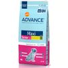 Croquettes pour chien Advance Maxi Senior - 15 kg