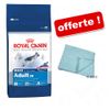 Croquettes Royal Canin 8 � 15 kg + serviette Perfect Care - Mini Junior (8 kg)