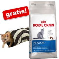  10 kg Royal Canin kattenvoer + Crunch-Ritseltunnel GRATIS! - - British Shorthair 34 