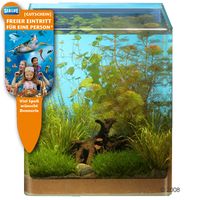 kaufen vergleich Dennerle Aquariumpflanzen Nano Aquarium 1 Sortiment     7 Pflanzen - Dennerle