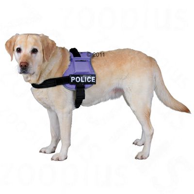 Harnais pour chien XDog- taille M - L : tour de poitrail 40 - 80 cm