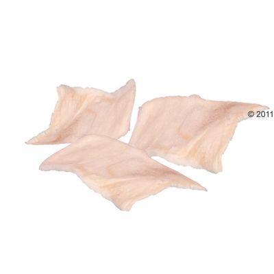 Chips à mâcher pour chien Dentafun- 100 g de chips light avec de la spiruline