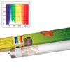 Tube fluorescent Arcadia Freshwater - 18 W, L 59,0 cm