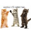 Set de table pour chat Adorables chatons - L 43 x l 31 cm