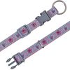Collar Pink reflectante - - XS-S: 22-35 cm de largo, 15 mm ancho