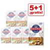 Hill's Feline 100 g:�5 + 1 gratis! - - Feline Mature Adult pescado