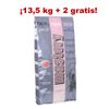 Mastery Dog 13,5 + 2 kg gratis - - Adult Essential Maintenance