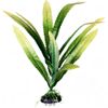 Cryptocoryne - plante aquatique artificielle - H 30 cm