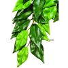 Hagen Exo Terra Ficus - - Longitud: 55cm, diámetro: 25 cm