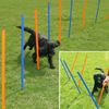Slalom Agility Fun&Sport - - 12 postes