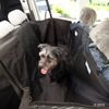 Manta de coche para perros universal - - 140 x 145 cm (LxAn)