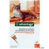 Antiparasitaire Advantage 40 pour chat pesant de 1 � 4 kg - 4 pipettes