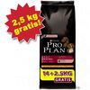 Pro Plan:�14 kg + 2,5 kg gratis! - - Puppy Large Athletic cordero y arroz