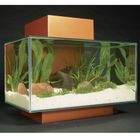 Fluval Edge Aquarium 25 Litre - black