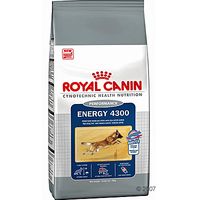  Royal Canin Energy 4300 - - 15 kg 
