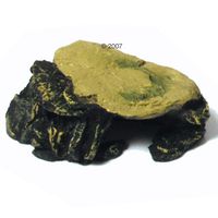  Baarsgrot - - 15 cm x 8,5 cm x 5 cm 