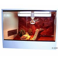 kaufen vergleich Perfect Terrarium     Ma�e: L 60 X B 40 X H 40 - Zooplus
