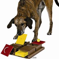 Hundespielzeug Dog Activity Poker Box - - 31 x 10 x 31 cm