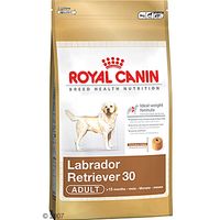 Royal Canin Breed Labrador Retriever 30 Adult Hundefutter 12 2 kg gratis!