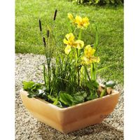 Teichset für Balkon, Terrasse Garten inkl. 4 Pflanzen Maße L 40 x B 40 x H 18 cm