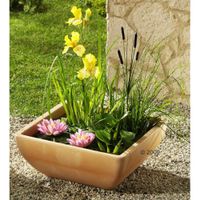 Teichset für Balkon, Terrasse Garten inkl. 7 Pflanzen Maße L 50 x B 50 x H 20 cm