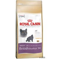 Royal Canin British Shorthair 34 2 kg