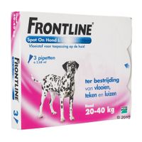  Frontline Spot-On L - 20/40 kg - - 4 pipetten 