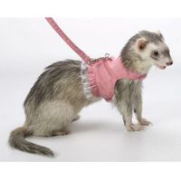 Marshall Tuigje en lijnenset Fashion Lead voor fretten roze