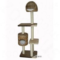  Krabpaal Panglao - - bruin-beige 