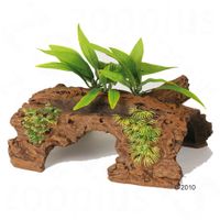 kaufen vergleich Treibholzbaumstamm Mit Pflanzen     Ma�e: L 20 X B 28 X H 12,5 Cm - Hagen