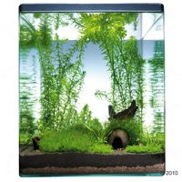 Dennerle Nano-Landschaft 