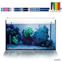 kaufen vergleich Arcadia Marine Blue T5 Leuchtstoffr�hre     24 Watt, L�nge 55,0 Cm - Arcadia