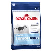  Royal Canin Maxi Junior Active - - 15 kg 