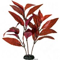 kaufen vergleich Alternanthera Kunstpflanze     15 Cm - Karlie Haaren
