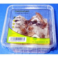 kaufen vergleich Heimchen Gro� Lebendfutter     5 Dosen, Je Ca. 35 St�ck - Btbe