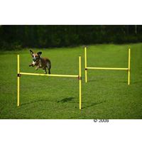  Agility hindernissen-set - - 2 hoogtesprongen 