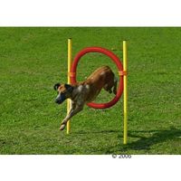Agility ringen 1 stuk