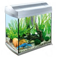 kaufen vergleich Tetra AquaArt Aquarium 30 L     Ma�e: 35 X 35 X 25 Cm - Tetra