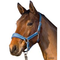 Licol Soft pour cheval - cheval, bleu marine