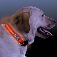  LED hondenveiligheidshalsband - - maat L: 46 - 69 cm halsomvang 