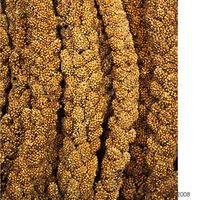 JR Farm trosgierst geel - - 1 kg