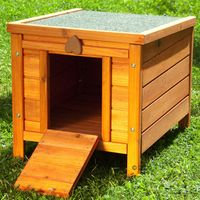 Konijnenhok Outback Basic Afmeting L 42 x B 50 x H 43 cm