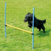  Agility Fun & Sport hoogtesprong - - 1 hoogtesprong 