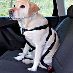 Imbragatura da auto Trixie - S: mis. ...