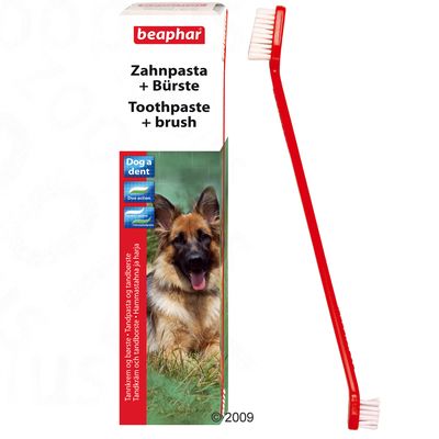 Beaphar Toothcare Set - Set (1 brush + 1 paste)