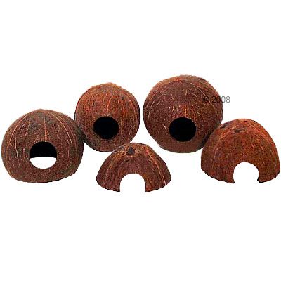 JBL Cocos Cava - 1/2 (Groesse M)