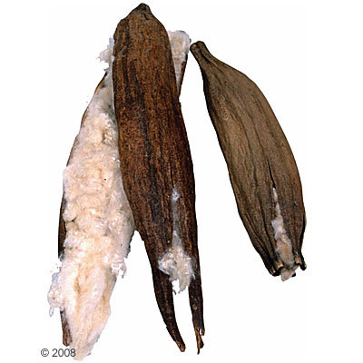 Duvet en kapok pour nid d´oiseau JR Farm - 1 duvet