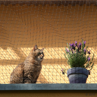 Trixie kattenbeschermnet zwart - - 2 x 1,5 m