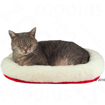 Panier pour chat confortable- L 47 x l 38 cm